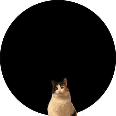 Neil image